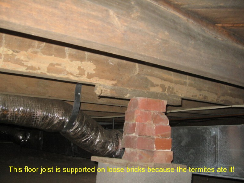 Holland Home Inspections South Central Kentucky &mdash; plumbing inspection photo 18