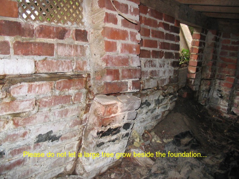 Holland Home Inspections South Central Kentucky &mdash; attic inspection photo 8